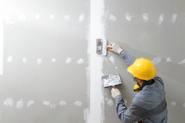 Best Mold Removal for HVAC Installations  in Satellite Beach, FL